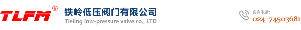 鐵嶺晟豐橡膠密封有限公司